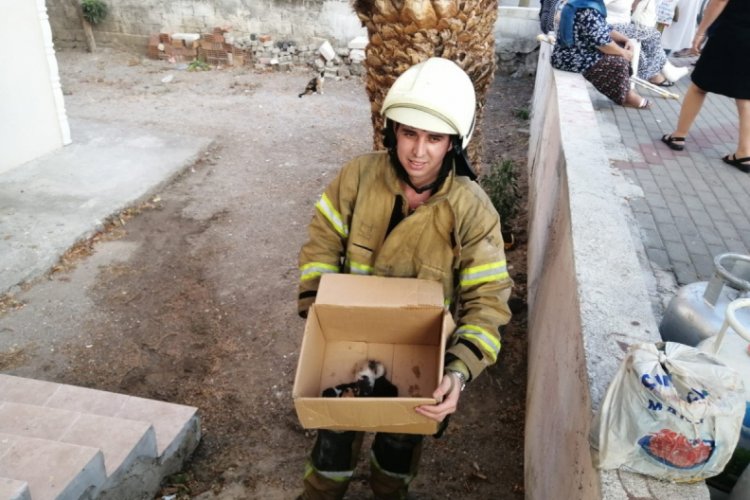 Alevlerin arasında kalan 5 yavru kedi, itfaiye ekiplerince kurtarıldı