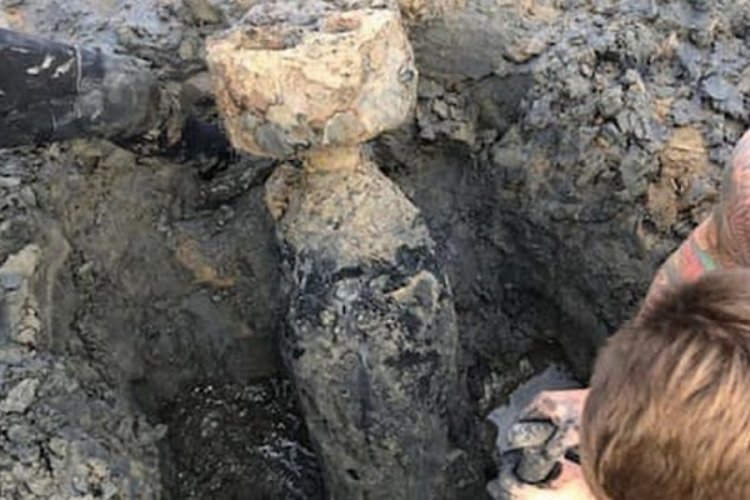 Havalimanı yakınlarında 2. Dünya Savaşı'ndan kalma torpido bulundu