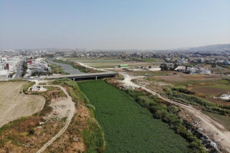 Su sümbülleri Asi Nehri'ni yeniden istila etti