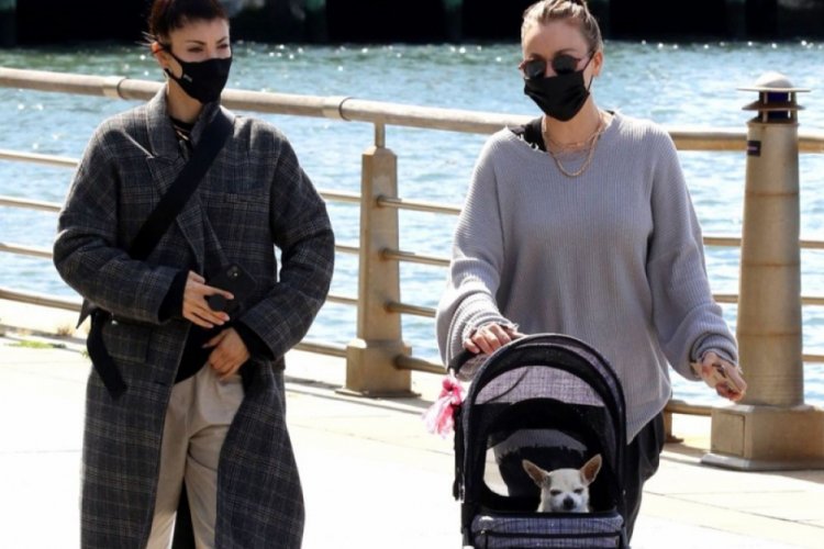 Kaley Cuoco köpeğini arabayla gezdirdi
