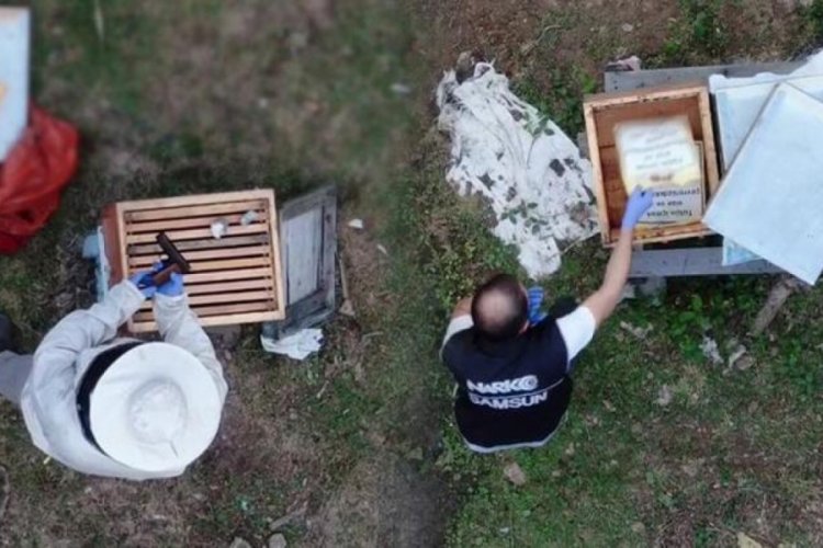 'Kraliçe arı var' dediği kovandan uyuşturucu çıktı