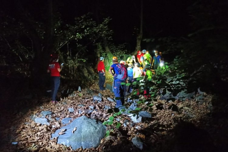 Bursa'da, kestane toplamak için dağa çıkan kişi, dereye düştü