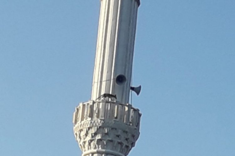 Cami minaresinde dolaşan tilki görenleri şaşırttı