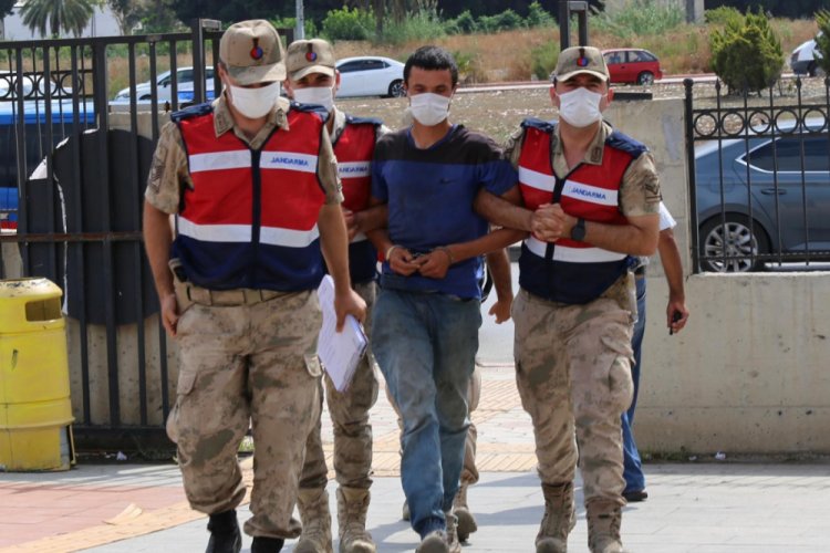 Ormanı kundaklayan zanlı tutuklandı