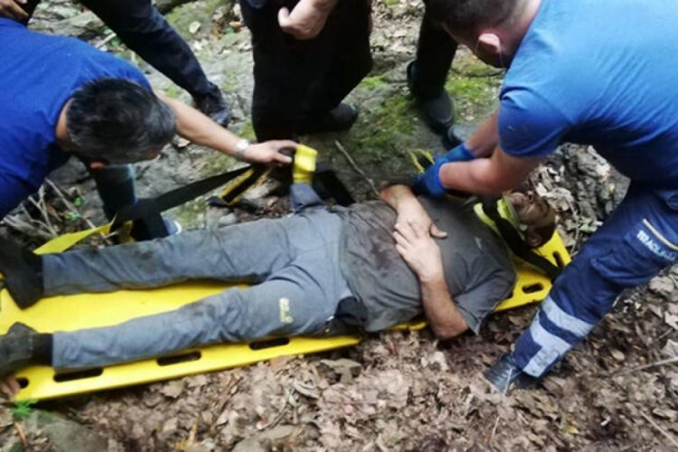 Kestane toplarken uçurumdan 25 metreden aşağıya yuvarlandı