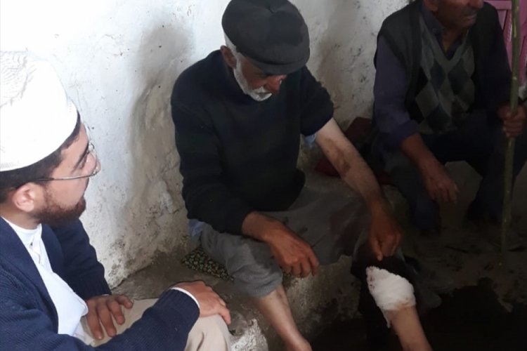 Ayı saldırısına uğrayan kişi yaralandı