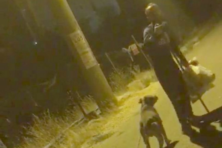 Köpeğe araç lastiği bağlatıp işkence yaptı