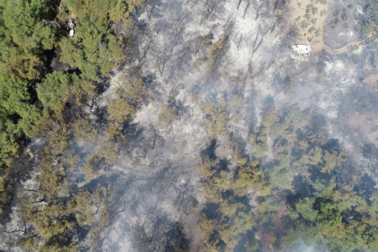 Bursa Mudanya'daki yangın kontrol altına alındı