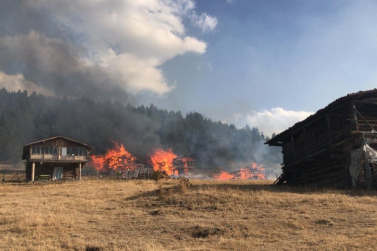 Kastamonu'da çıkan yangında 6 yayla evi küle döndü