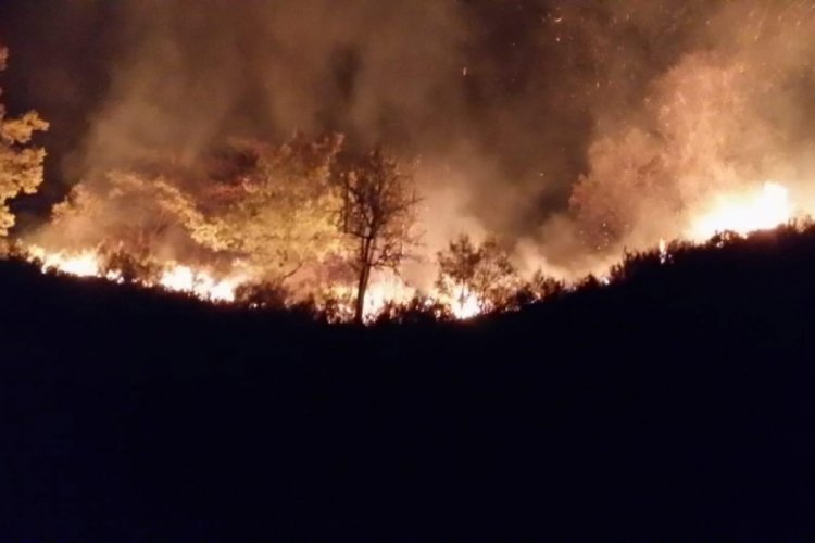 Düzce'de orman yangını