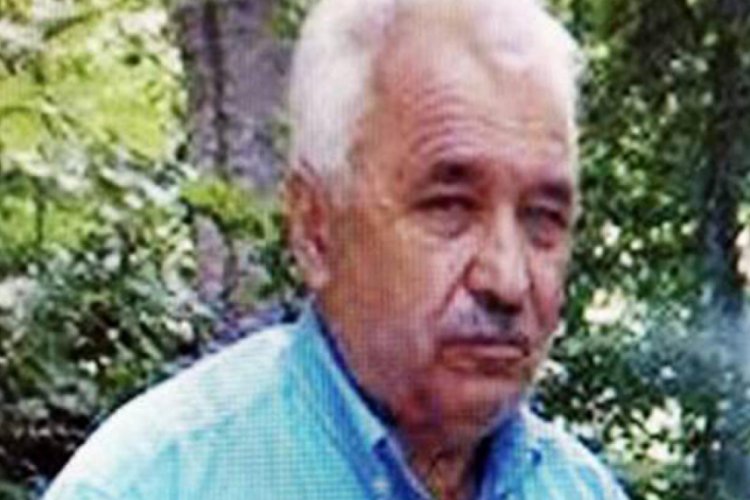 Kestiği ağaç babasının ölümüne neden oldu
