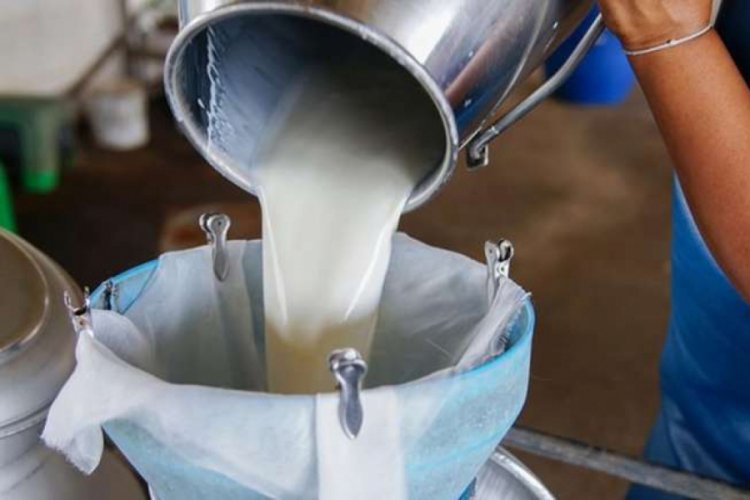 Çiğ süt fiyatının artırılmamasına tepki! Ulusal Süt Konseyi'nde istifa