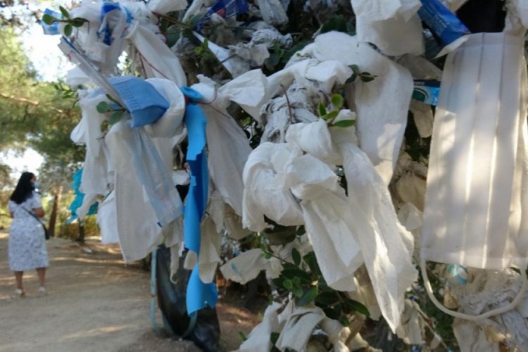 'Dilek ağaçları' tıbbi maskelerle doldu