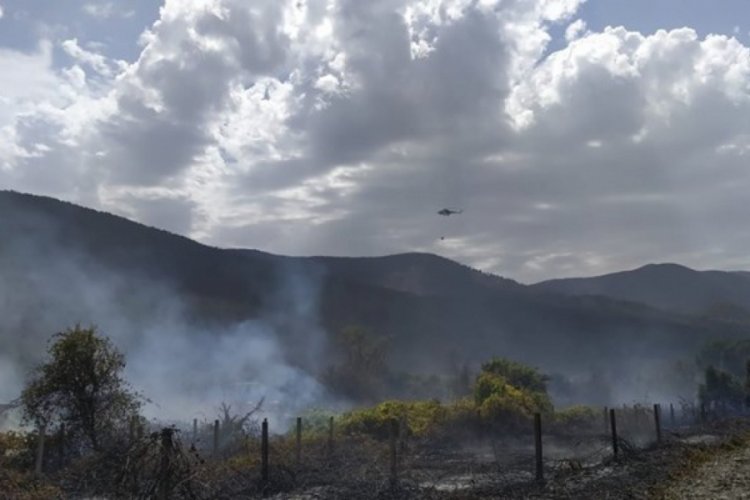 Muğla'da orman yangını: Yerleşim yerlerini tehdit ediyor