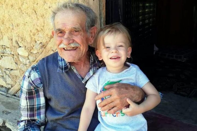 Ağaçtan düşen kişi hayatını kaybetti