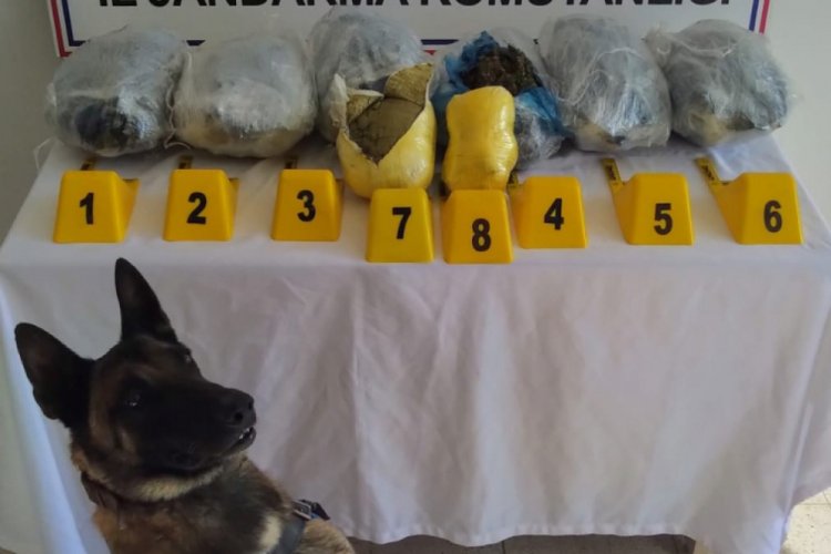 Bingöl'de uyuşturucu operasyonu