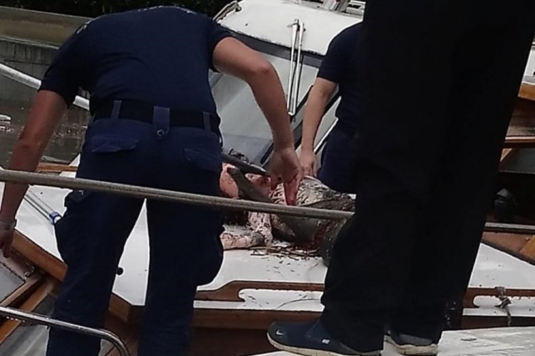 Polisini teyakkuza geçiren ihbar: Suda biri sürükleniyor