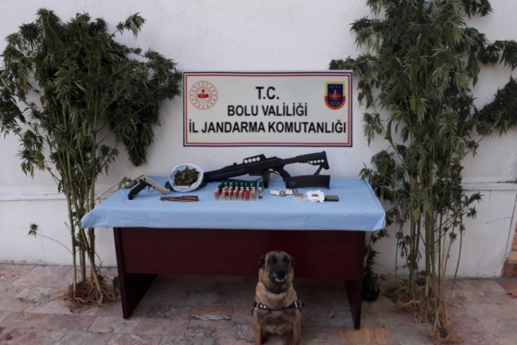 Bolu'da 1 ay içinde 33 kilo esrar, 327 gram eroin yakalandı