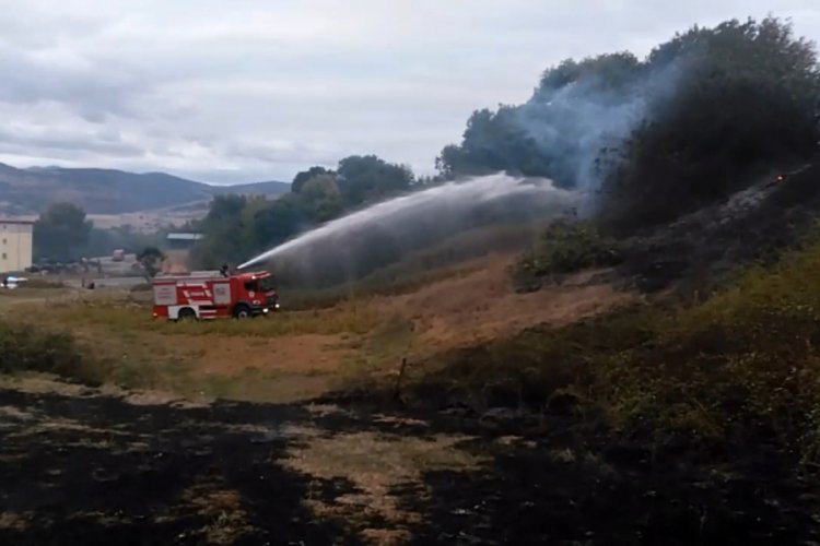 Samsun'da anız yangını ağaçlık alana sıçradı