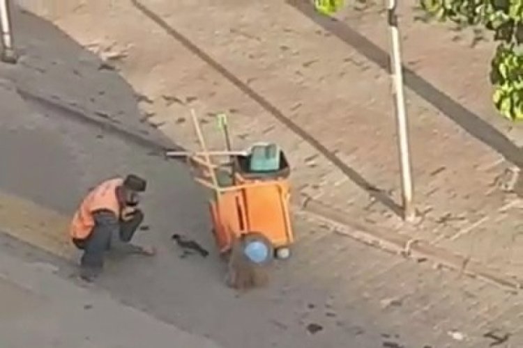 Temizlik işçisi yanına gelen kargayı elleriyle besledi