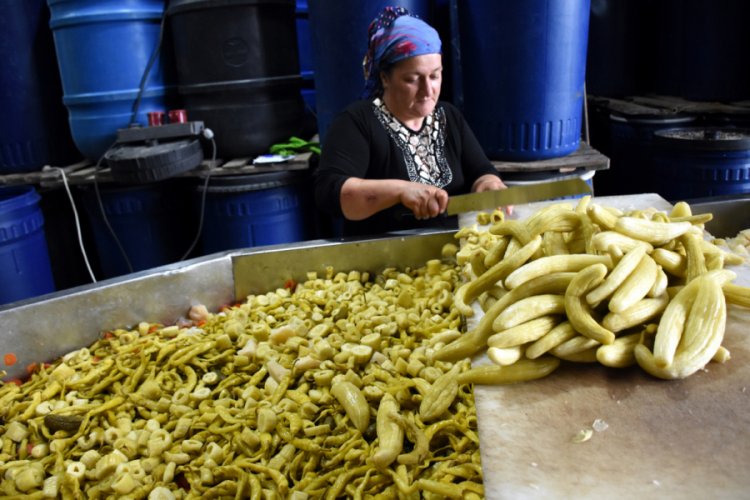 Bursa'nın turşucu köyü kışa hazır