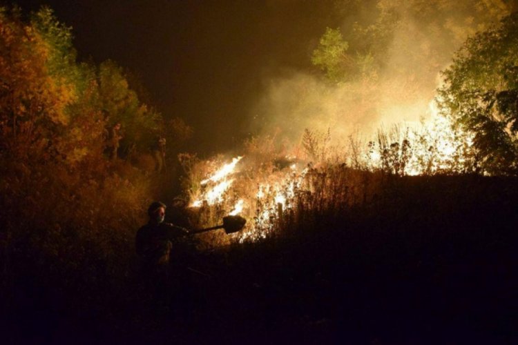 Ukrayna'daki orman yangınlarında 11 kişi öldü