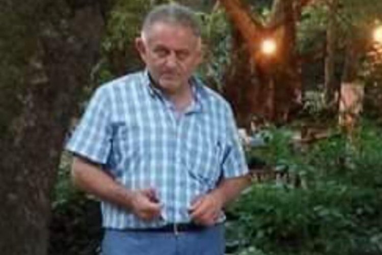 Ağaçtan düşen şahıs hayatını kaybetti