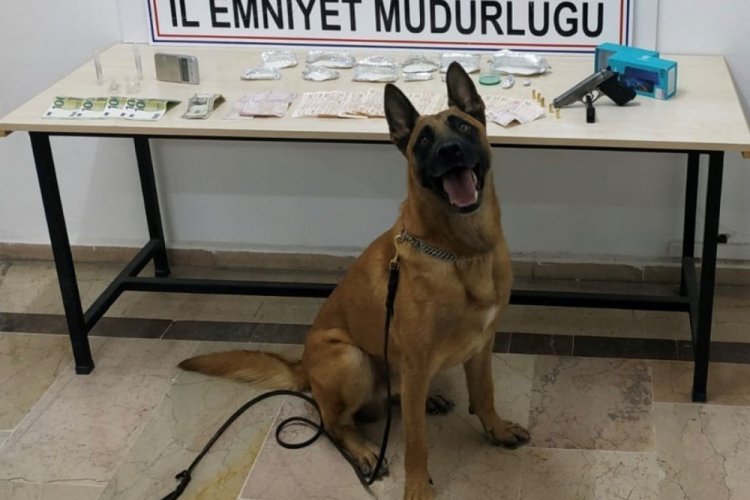 Uyuşturucular Sarik'e takıldı