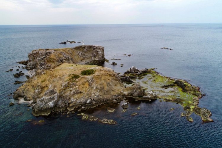 İstanbul'un ıssız adası