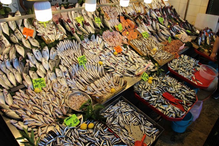 Hamsinin fiyatı dudak uçuklattı