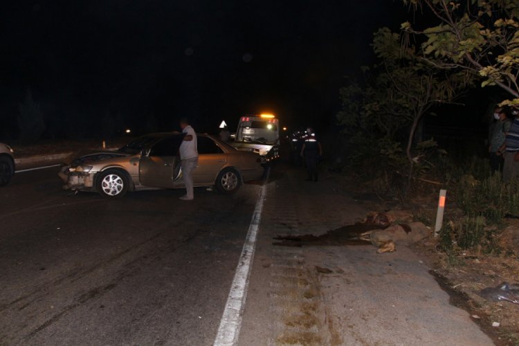 Manisa'da otomobiller karayolundaki koyun sürüsüne daldı