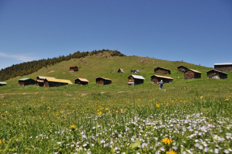 Yaylalarda yıkım ve denetimlerle kaçak yapılaşma durdu