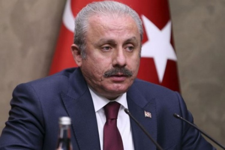 TBMM Başkanı Şentop'tan hayvan hakları düzenlemesi mesajı