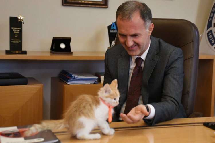 Bursa İnegöl Belediye Başkanı Taban kedi sahiplendi, isim arıyor!