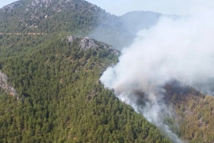 Antalya'da orman yangını