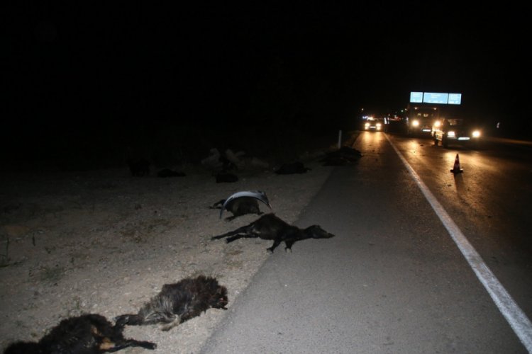Adana'da otomobiller sürüye çarptı