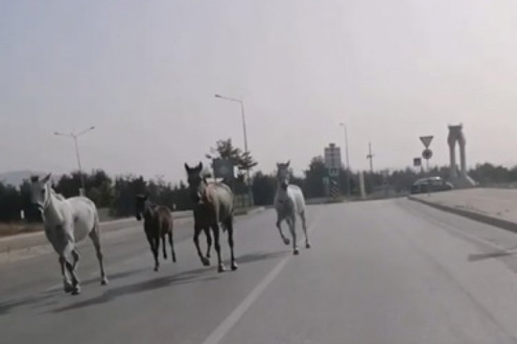 Bursa caddeleri hipodromu aratmadı