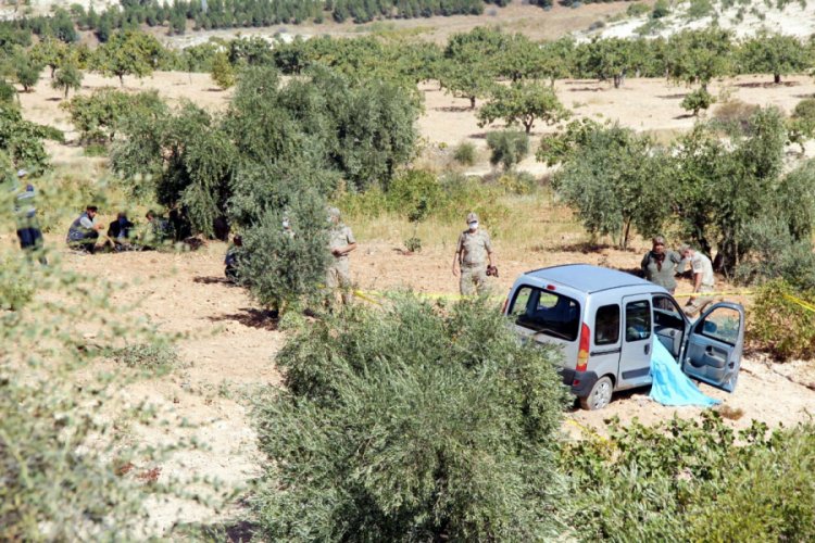 Zeytin bahçesine uçan aracın sürücüsü öldü