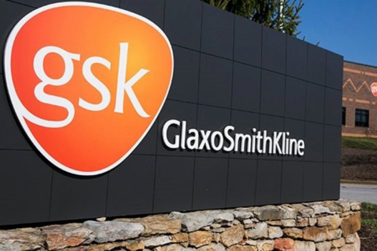 GlaxoSmithKline tarafından üretilen antikor ilacı yıl sonunda hazır olabilir