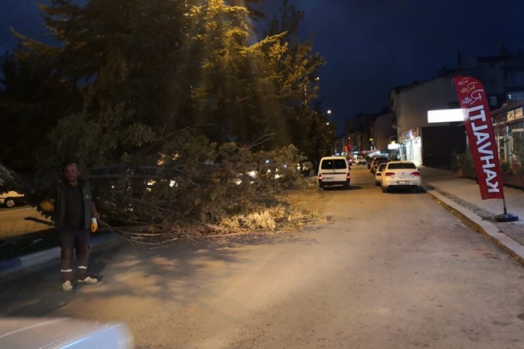 Fırtına ağaçların dallarını kırıp yola savurdu