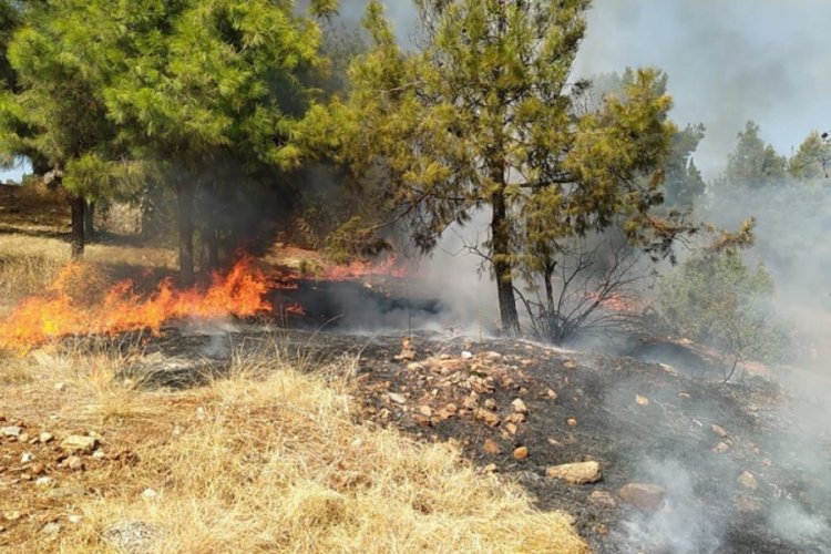 Hastane bahçesinde yangın paniği