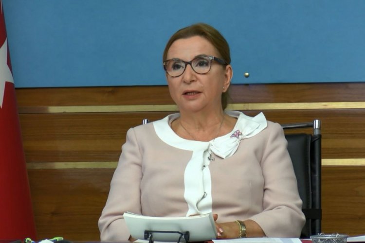 Bakan Pekcan: Afrika ile 18,2 milyar dolarlık ticaret hacmine ulaştık