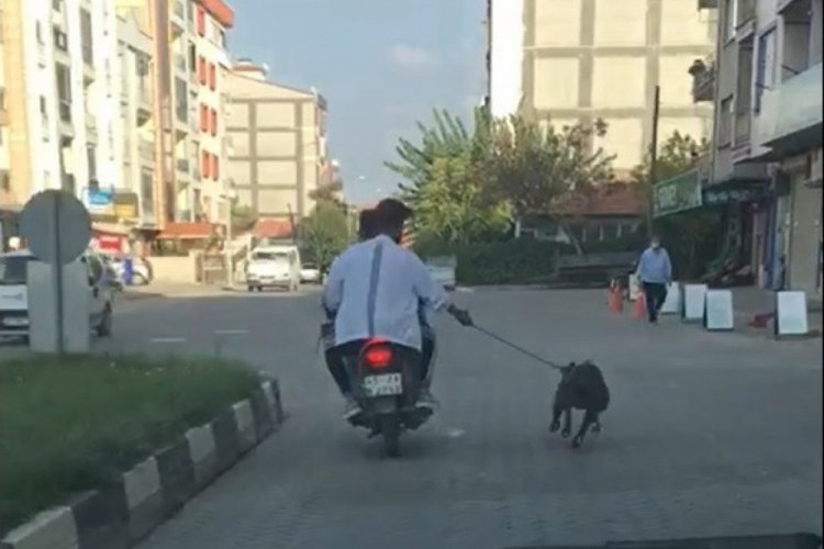 Pes dedirten görüntü! Köpeği motosikletle koşturdular