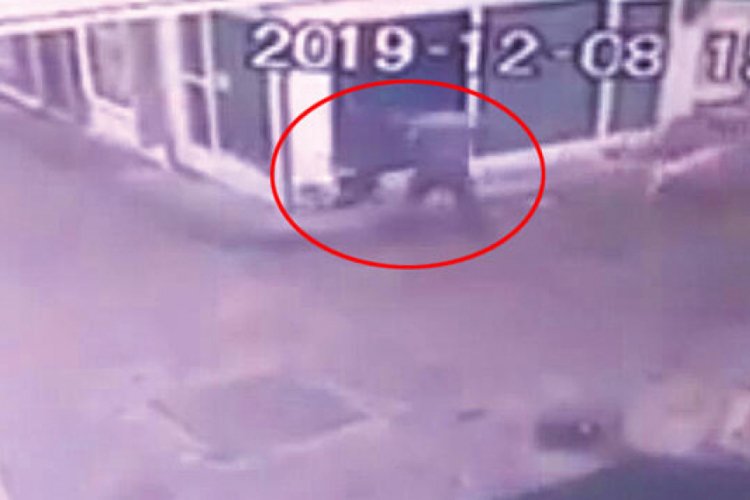 Şiddet videosuyla hayvanseverlere tuzak kurup dava açtı!