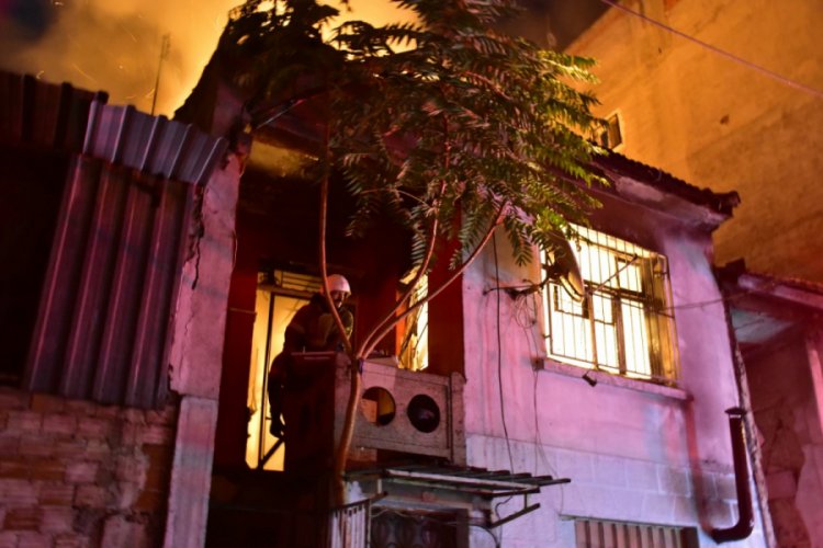 25 papağan yangında telef oldu