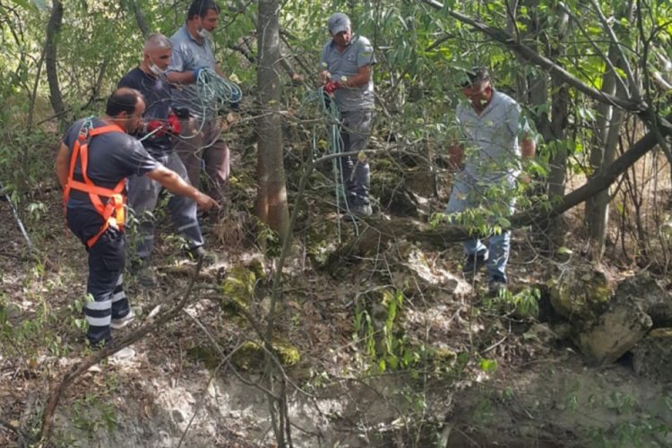 Kuyuya düşen yavru köpeği itfaiye kurtardı