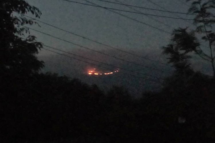 Kilimanjaro Dağı'nda yangın çıktı