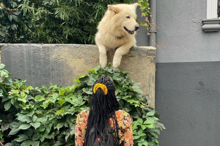 Halsey, Kuzguncuk'un maskotu Rocky ile fotoğrafını paylaştı