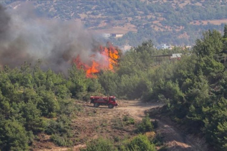 Hatay'daki orman yangınlarıyla ilgili 2 tutuklama