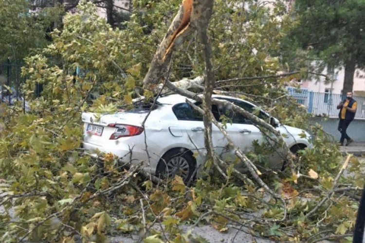 İnegöl Belediyesi afete karşı nöbette